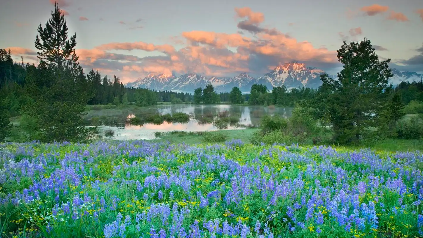 好看的大自然风光护眼风景壁纸图片素材下载