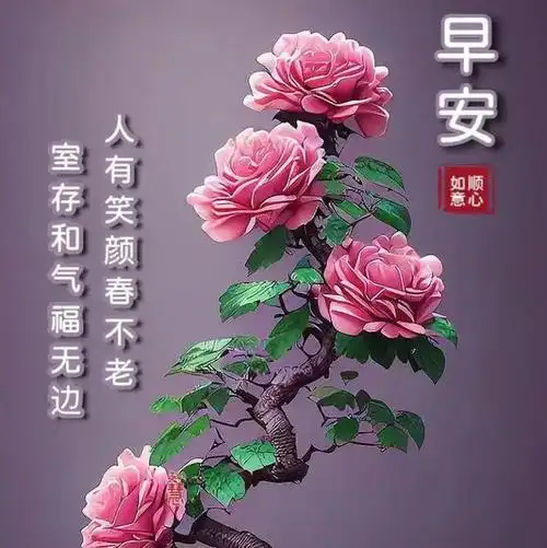快乐|清晨|甜蜜|好心情_网易订阅