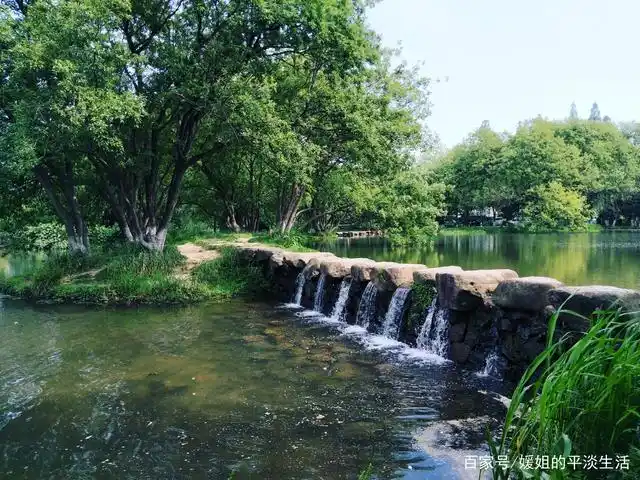 美观且实用的小水坝