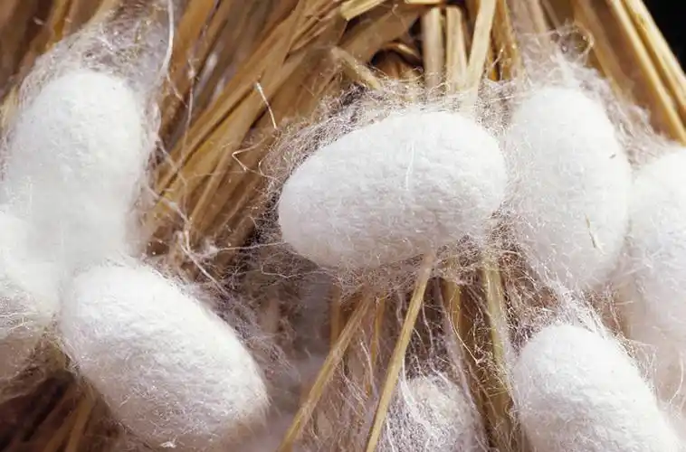 蚕丝摩擦系数较小的天然纤维