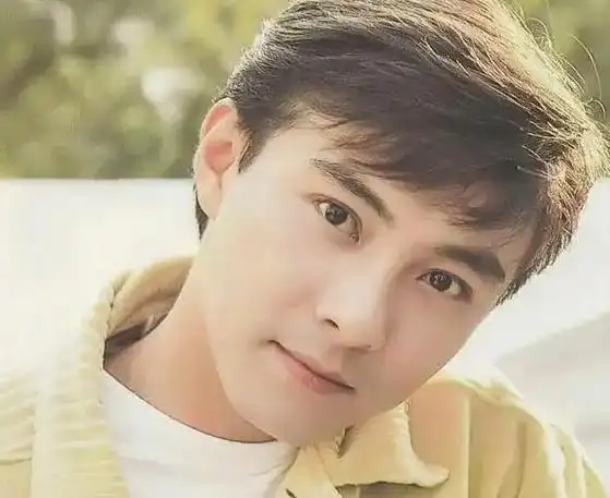 风过:歌手,搞笑,孙悟空——张卫健的舞台形象