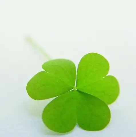 女头头像四叶草小清新多希望一难过就能抱住你zz