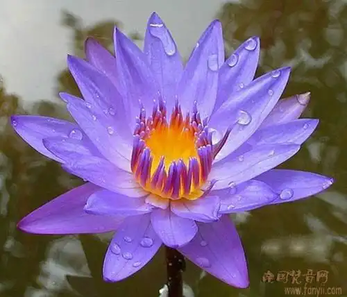 我曾经的同学她走了