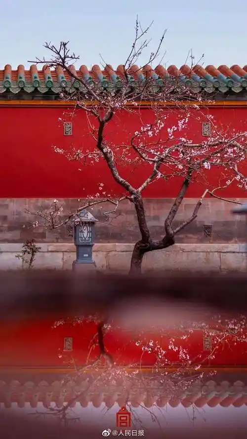 收藏故宫流行色壁纸