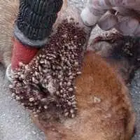 2019最恶心的头像 让人看了很恶心的头像【点击鼠标右键下载】