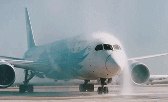 相信有很多的朋友都有第一次坐飞机的经历,毕竟每件事情都会有第一次