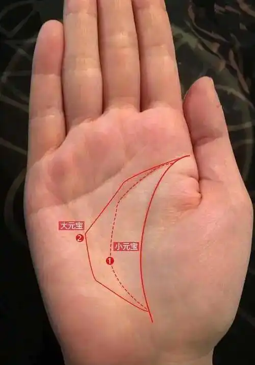 必发亿万富翁的三角形手相(三角纹在手,富到九十九在哪里)-风水人
