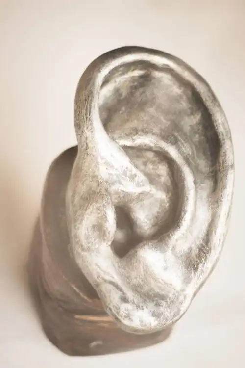 耳朵,耳,医疗,模型,石膏模,不同,病患