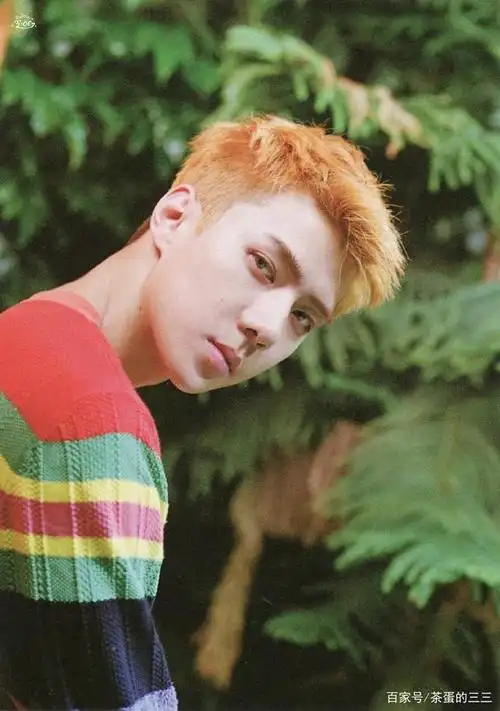 exo吴世勋kokobop图集:可爱的小橘