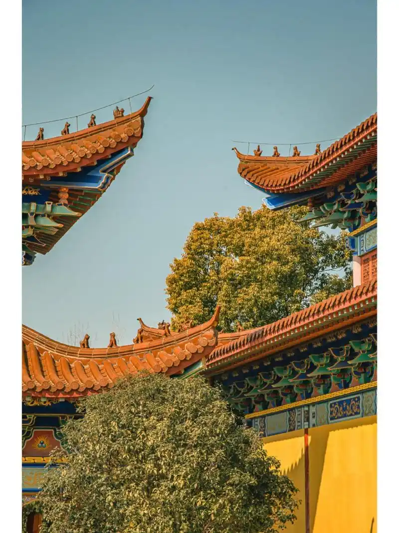 亳州观堂镇观音寺打卡