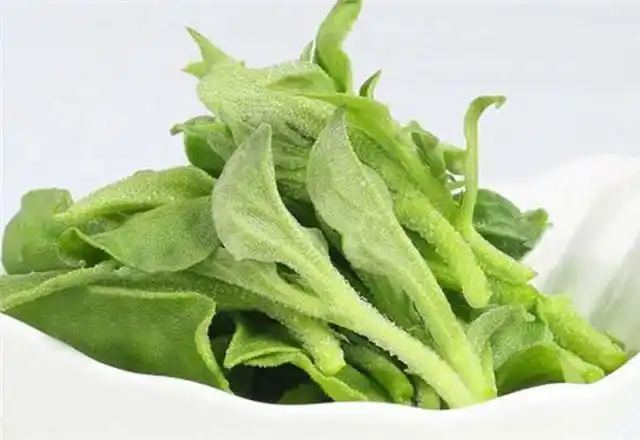 不常见的蔬菜怎么判定?