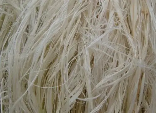 苎麻纤维和苎麻布的制作