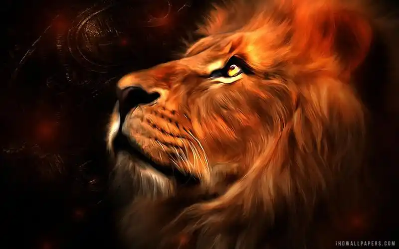 狮子艺术壁纸高清原图下载
