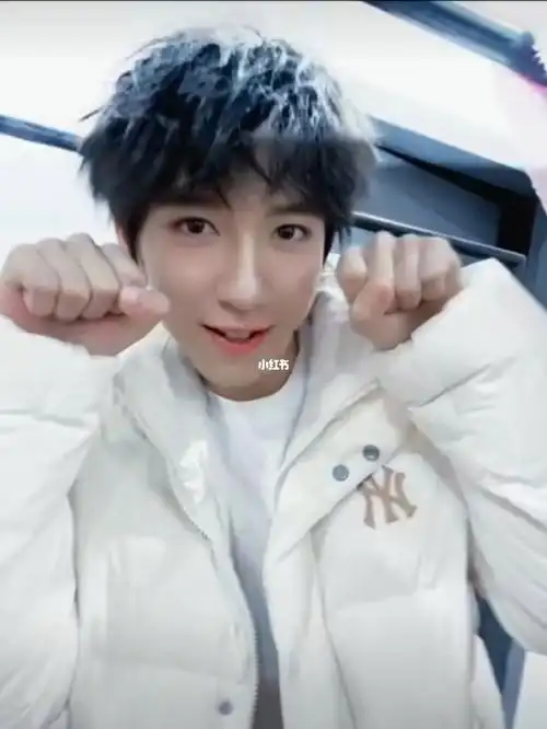 啊啊啊啊啊啊啊是我的猫贺峻霖还给我