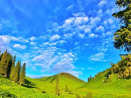 愿我们在那拉提红尘作伴活的潇潇洒洒