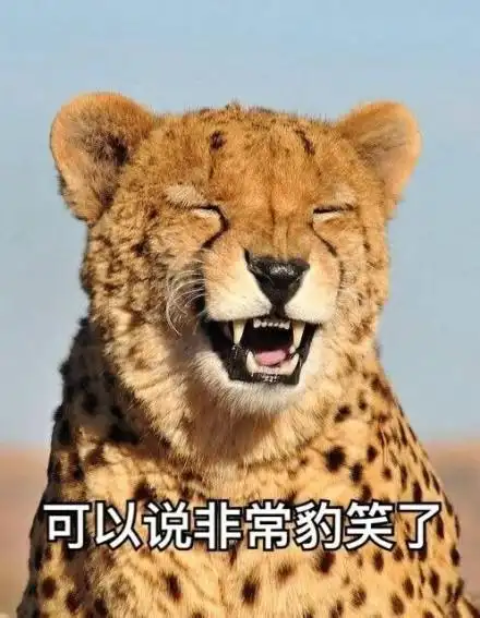 可以说表情包 - 可以说微信表情包 - 可以说qq表情包 - 发表情