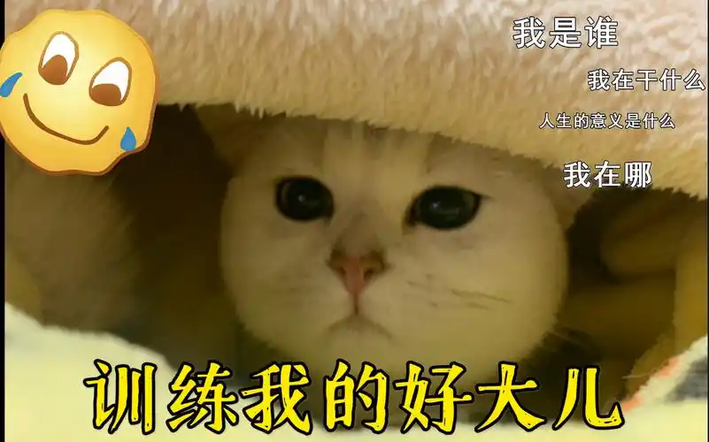 训练我的好大儿第一趴_哔哩哔哩 (゜-゜)つロ 干杯~-bilibili