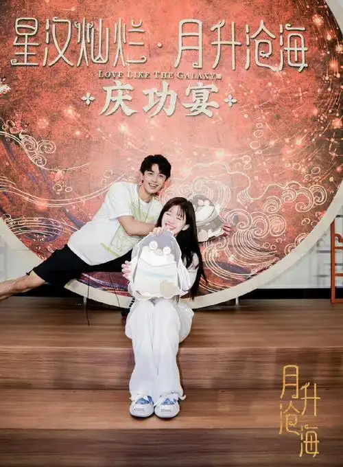 吴磊粉丝应援灯牌惹争议死露一条疑似内涵赵露思实在下头