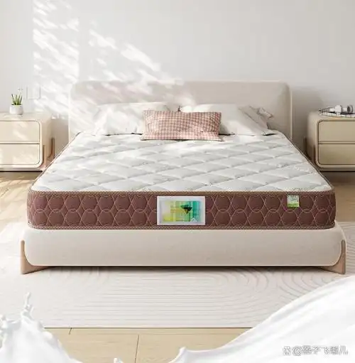 穗宝床垫系列,从环保椰棕床垫加硬健脊薄垫,到软硬双面的乳胶椰棕弹簧