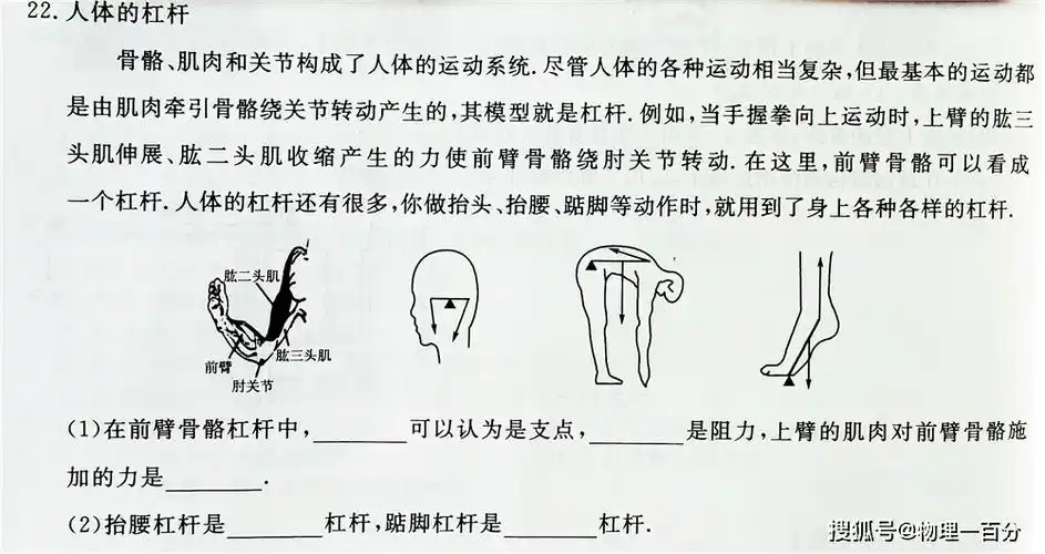原创踮脚动作明明很费力为什么是省力杠杆中考物理必考知识点归纳