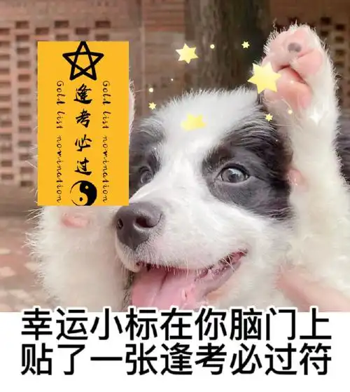 宋亚轩 瑾瑜发奇光