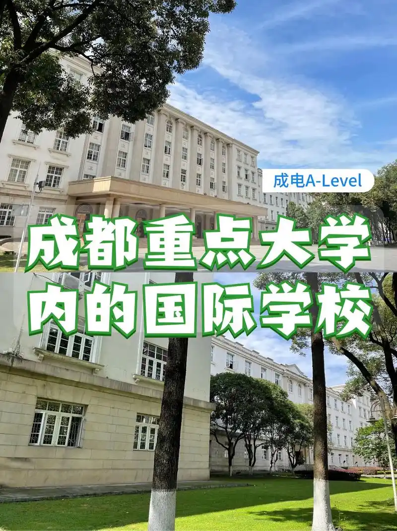 重点大学内的国际学校 成电alevel