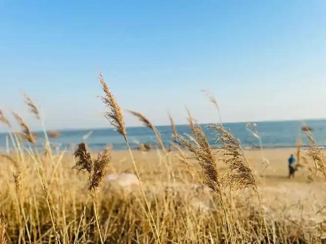 冬天的青岛海边