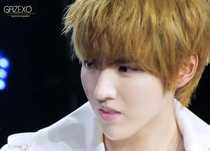 你们最喜欢exo12个人里面哪几个呢?