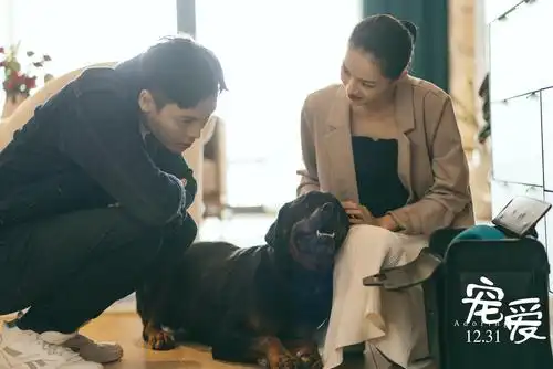 2019年喜剧片《宠爱》最新剧照