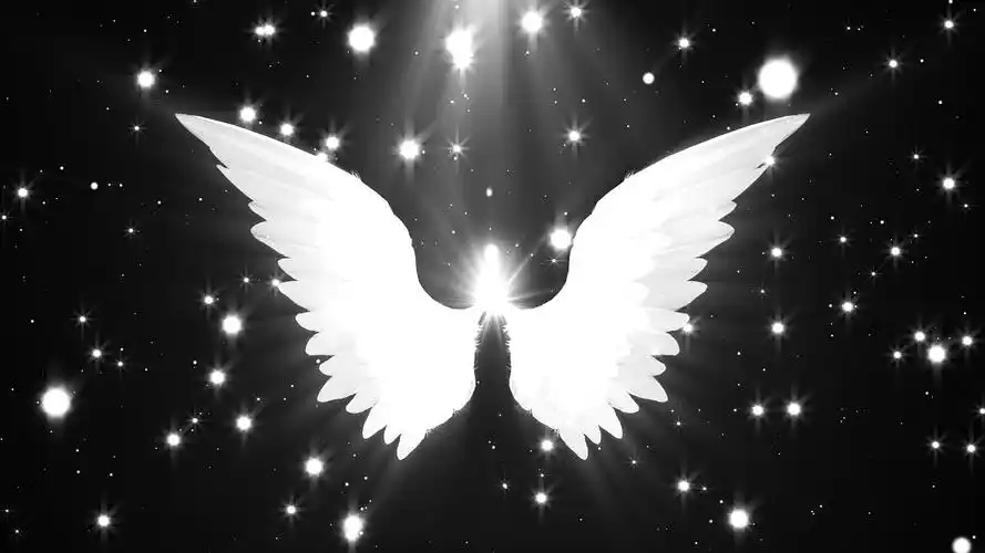 浪漫4k动态白色翅膀闪烁星光坠落背景视频翅膀背景