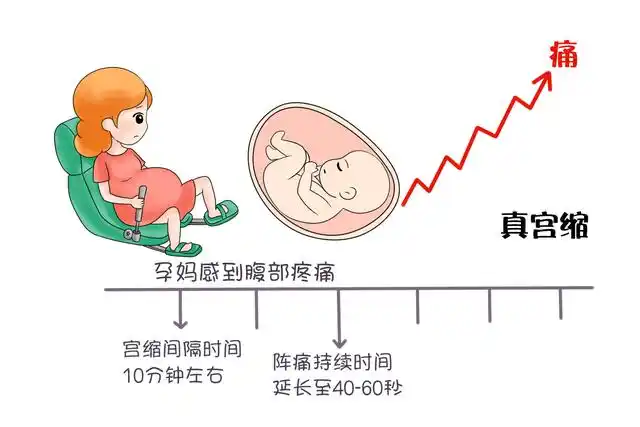 孕晚期胎心监护少不了,孕妈妈想要看懂胎心监测,注意这五个数据