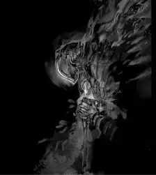 来自深渊 黎明卿