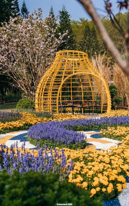 2021粤港澳大湾区深圳花展##深圳##设计美. 来自shenzhenlook - 微博