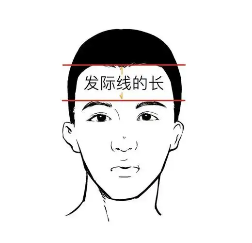 发际线秃了,还有救吗?