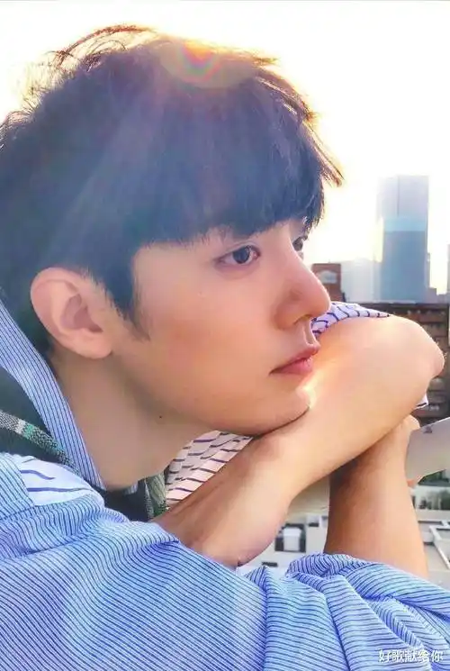 那么是谁,在暗处拿着"枪"瞄准肖战呢?