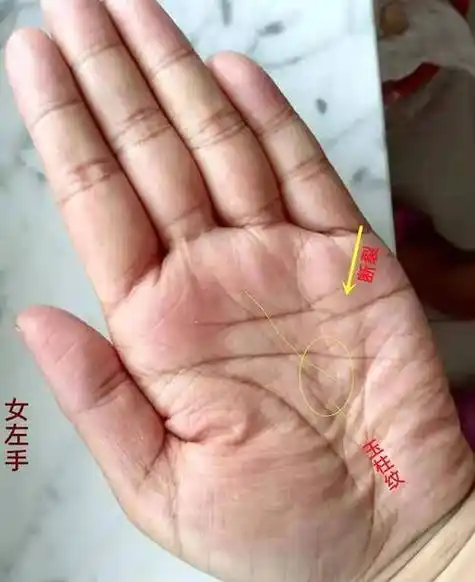 "伤官喜生财富贵自来"有福气的女人手相手相的无名指上对着的一条就是