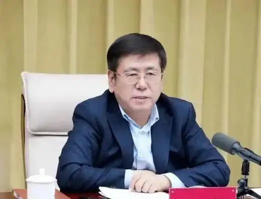 掌舵长春两年后,王凯回到了家乡,担任河南省委副书记,前途光明