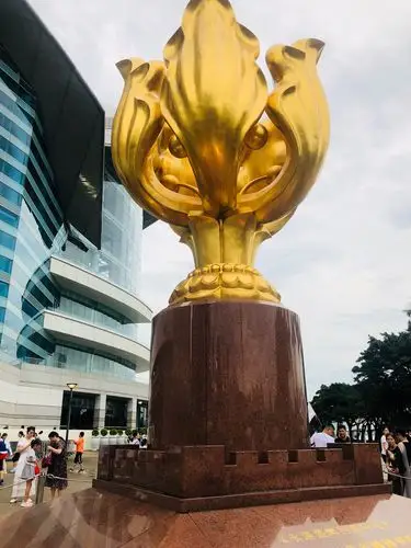 抵达香港—衢州华茂外国语学校,第二站