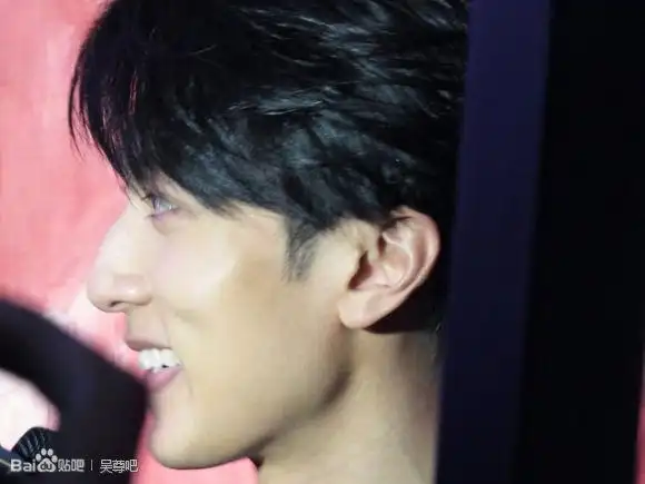 不一样  吴尊的脸比较立体,棱角很分明,看侧脸就知道