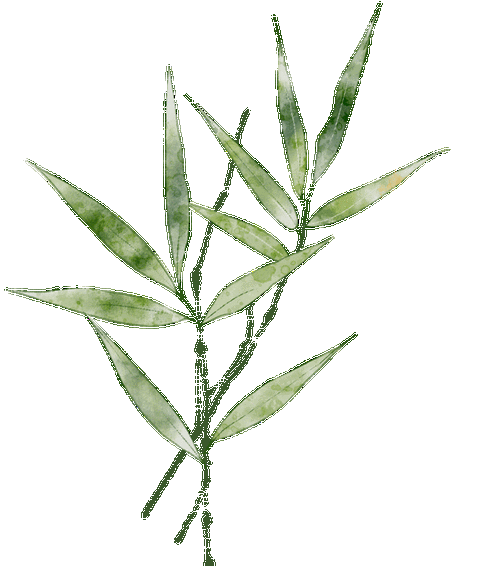 黎明,"洋"帆起航勇破浪——董小洋的就业之路|简历|面试|学校_网易