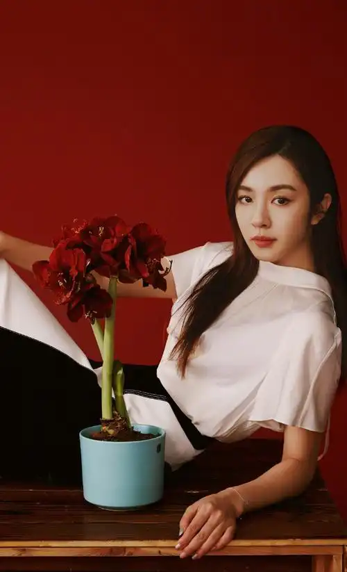 王晓晨魅力百变时尚写真大片