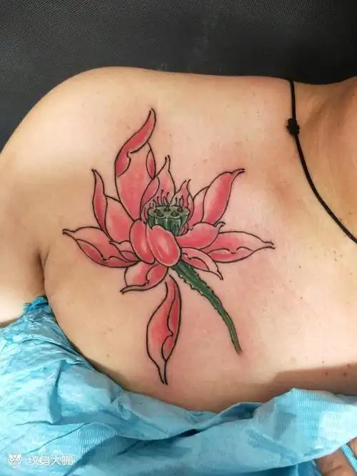 莲花_纹身图案手稿图片_青岛张磊的纹身作品集