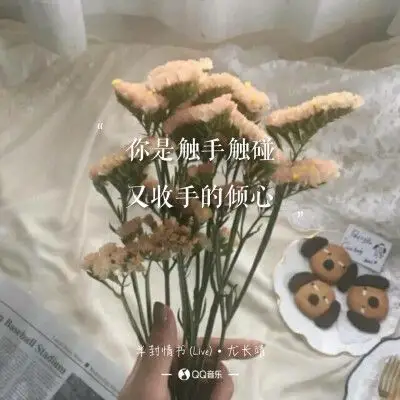 尤长靖《半封情书》歌词 语录 文字 壁纸 锁屏键盘 原创 极简 短句