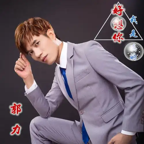 郭力我是真的好想你