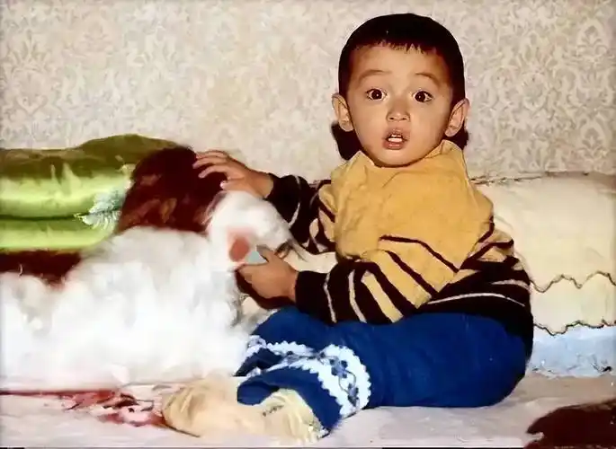 胡歌终于从偶像转型成一名演员,可还是辜负了那个满眼