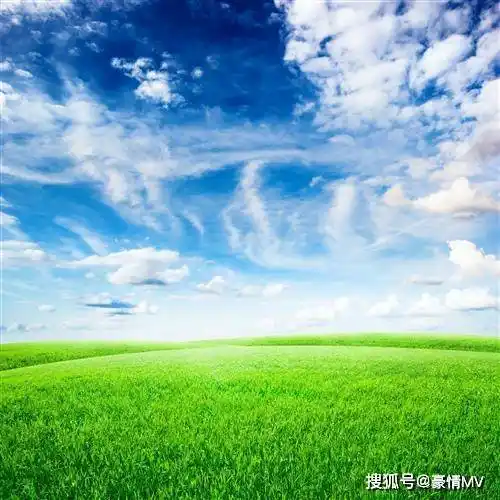 绿色草原系养心又养眼招财聚财带来好运的风景微信图片