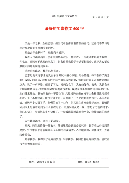 最好的奖赏作文600字.docx 2页