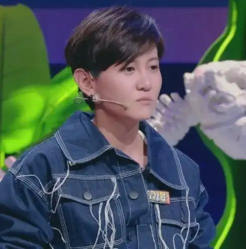 快女冠军段林希自曝过气后惨状卖牛肉干开出租车借钱出单曲