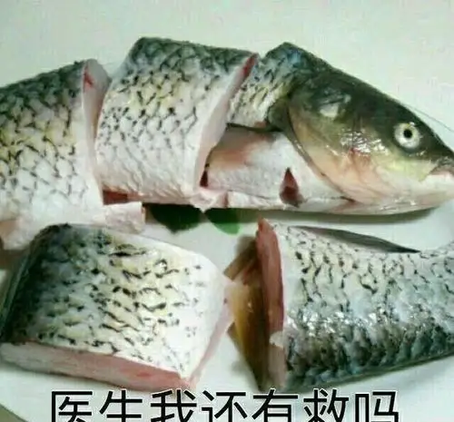 已无力吐槽 国产动画抄袭成风 谁能来解救我们广大漫迷们