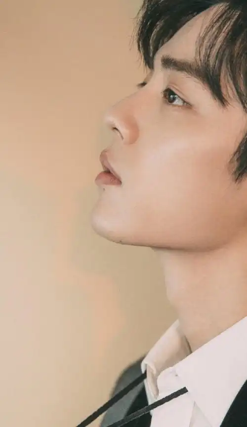 肖战天台侧颜照